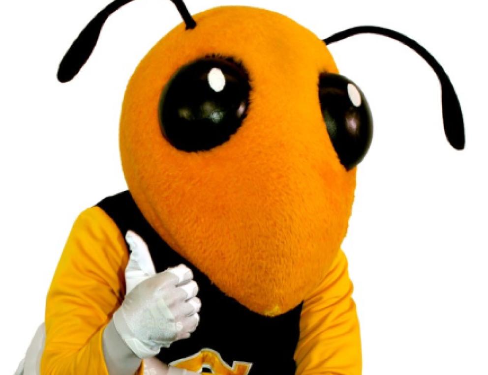 Image of Buzz, the Georgia Tech mascot